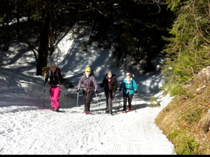 schneeschuhtour19.1.jpg